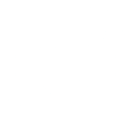 instagram-icon